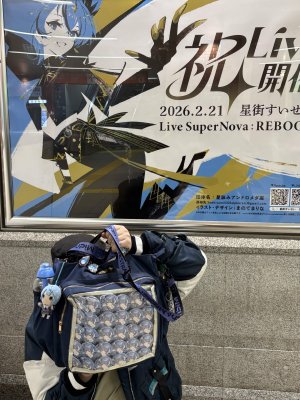 oshikatsu-mk4.jpg